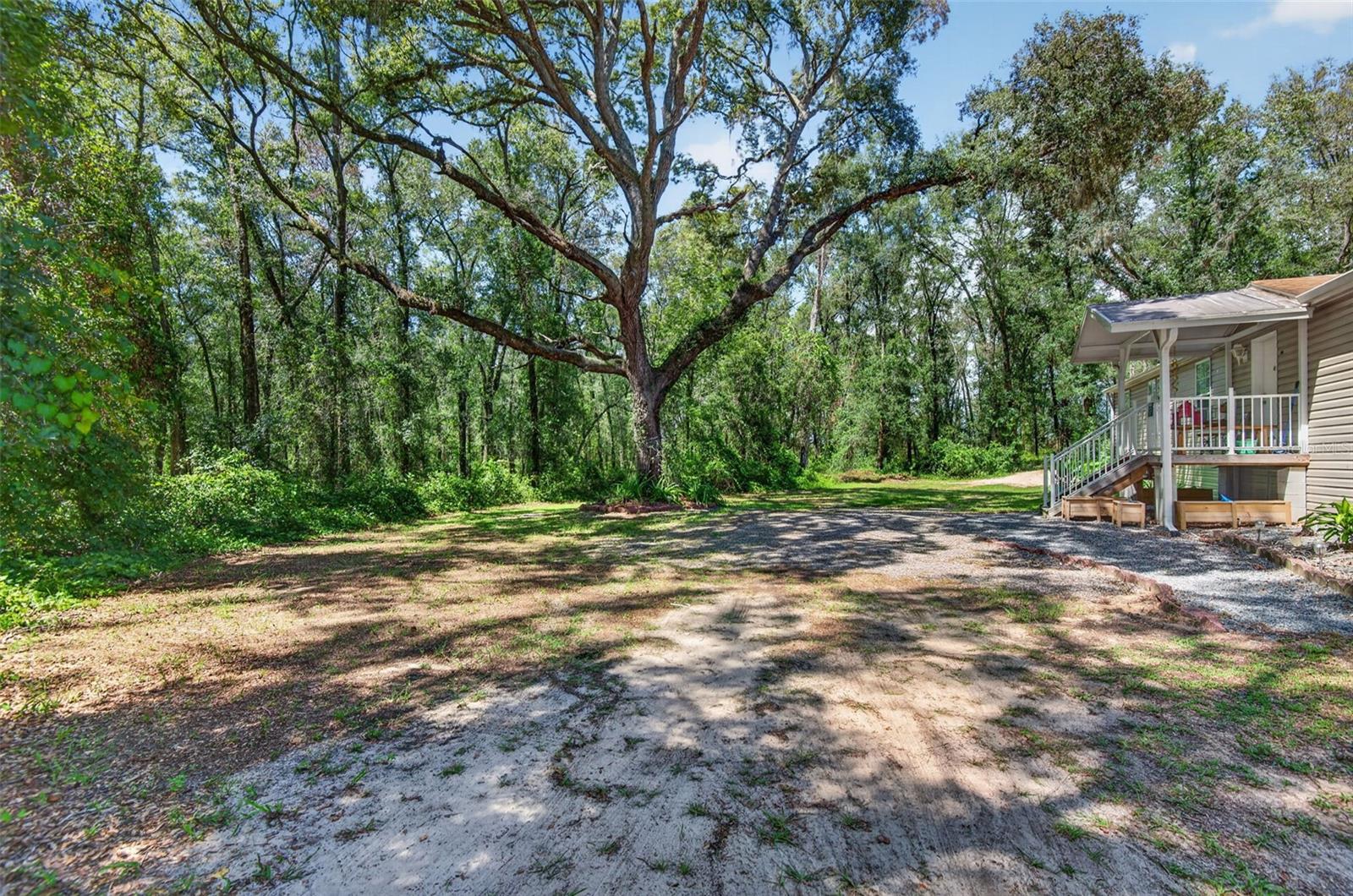 21812 FIELD OF DREAMS LN — photo 56