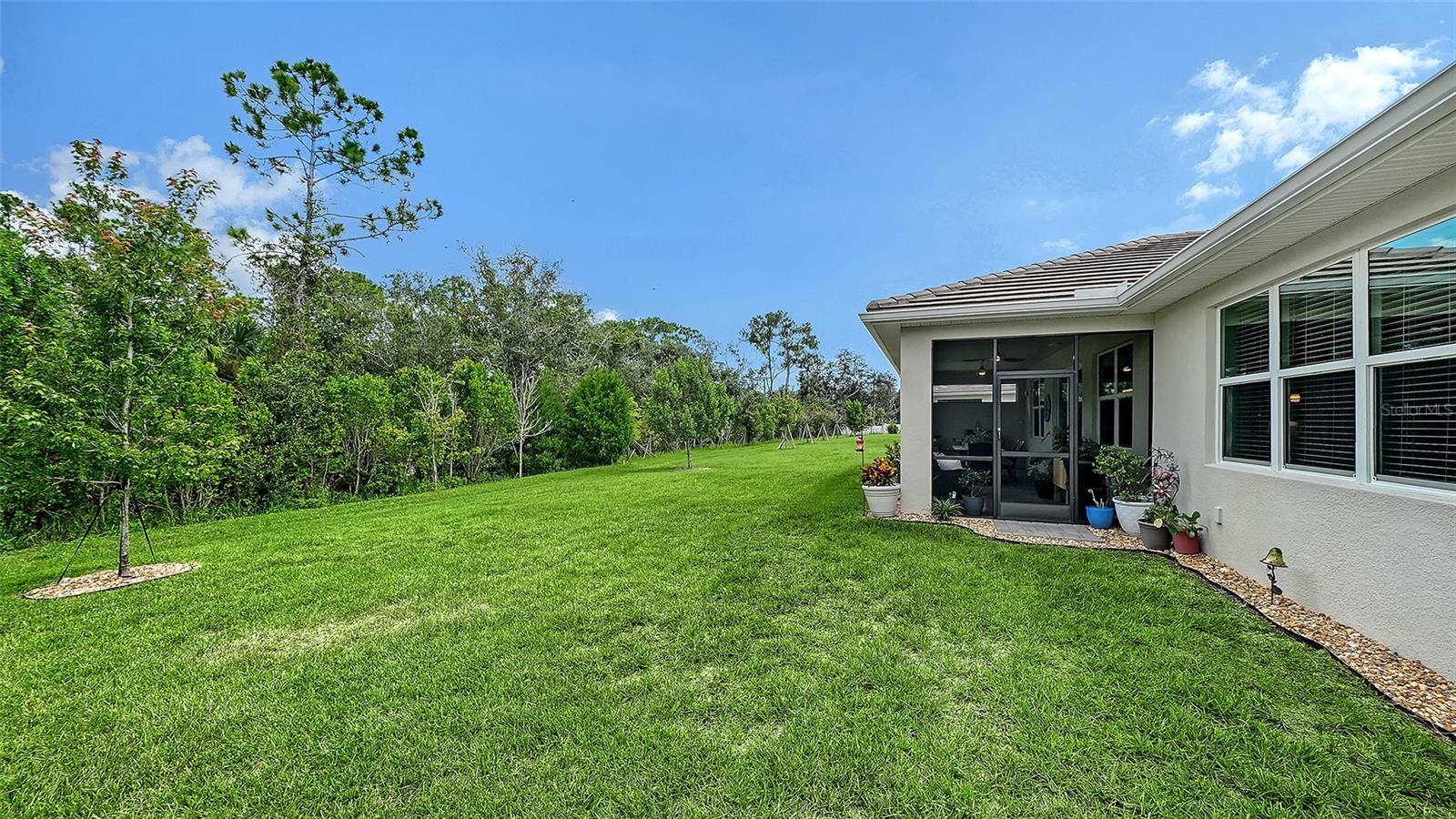 469 BANEBERRY CT — photo 32