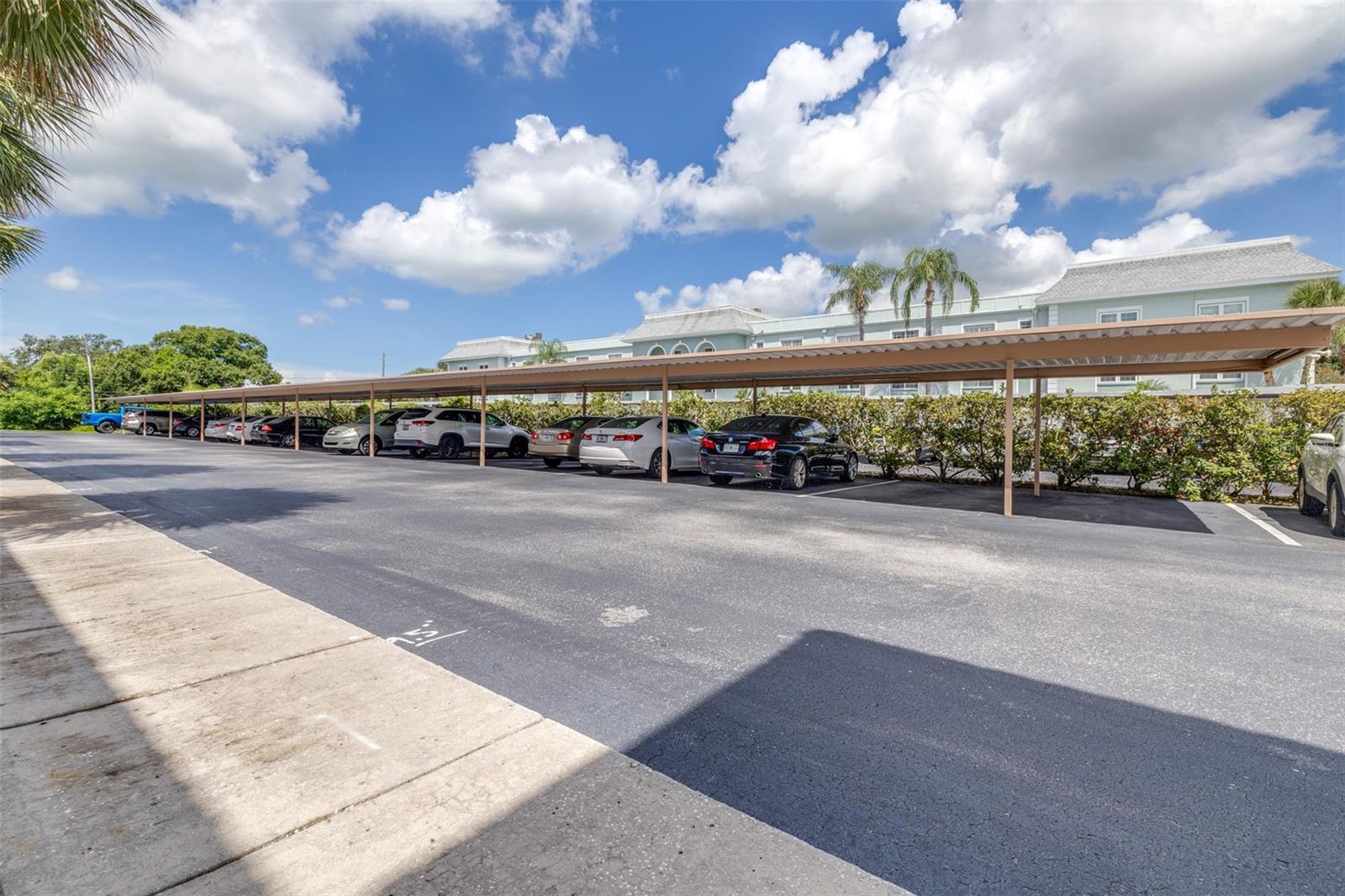 1750 BELLEAIR FOREST DR #A8 — photo 9