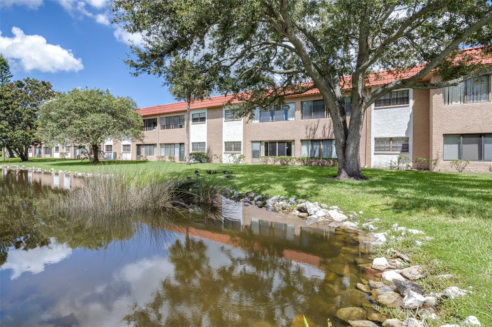 1750 BELLEAIR FOREST DR #A8 — photo 32