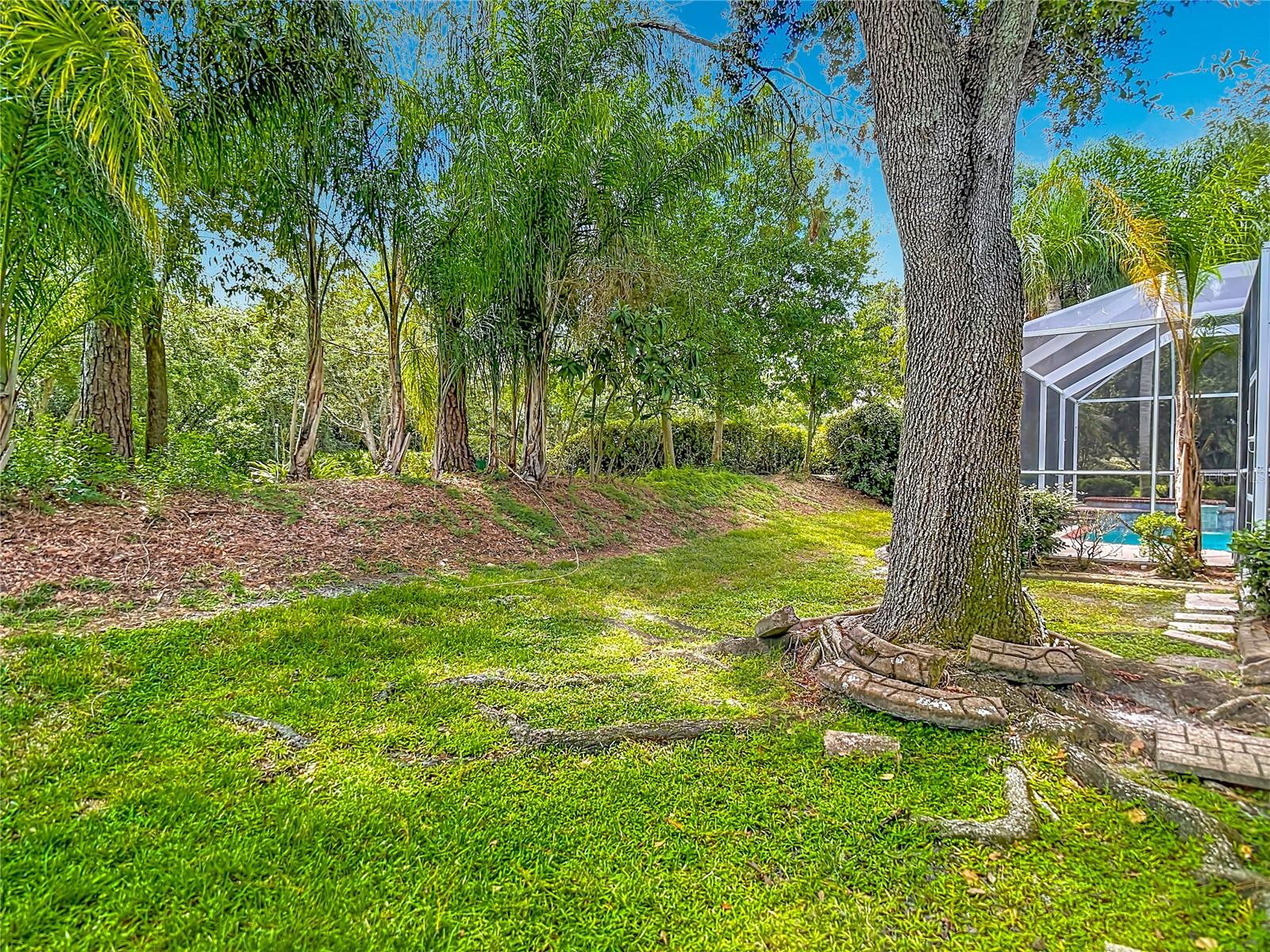 10221 GARDEN ALCOVE DR — photo 58