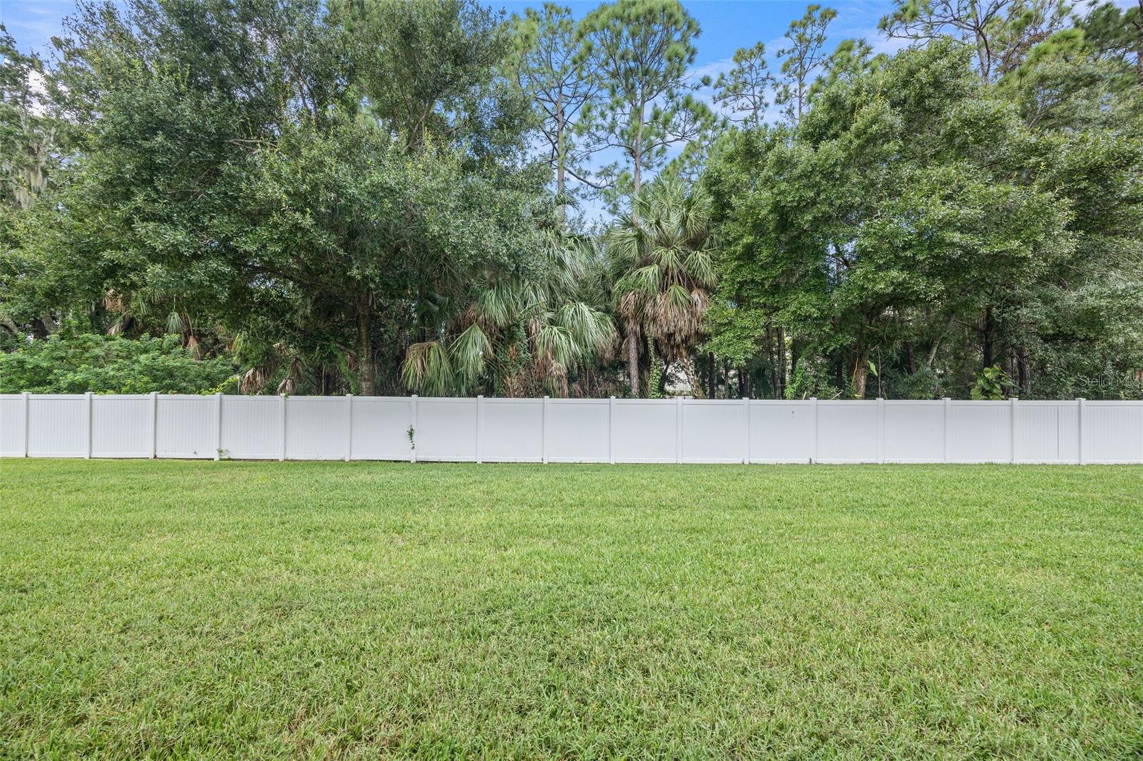 11608 DECLARATION DR — photo 36