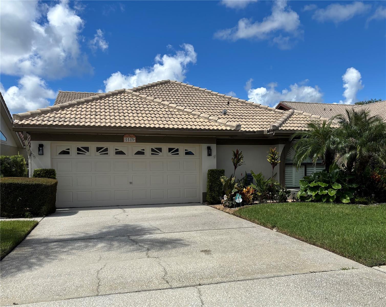5585 GREYSTON ST — photo 24