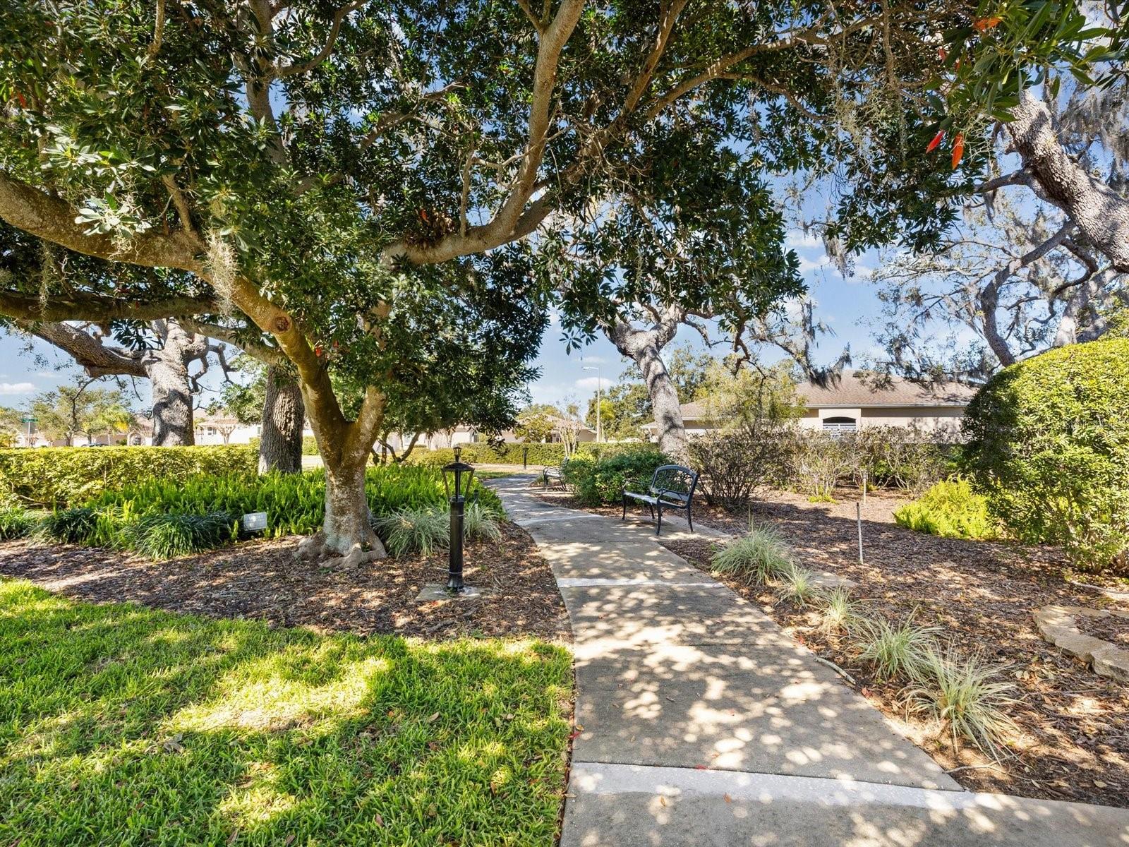 1101 HALEY LN — photo 44