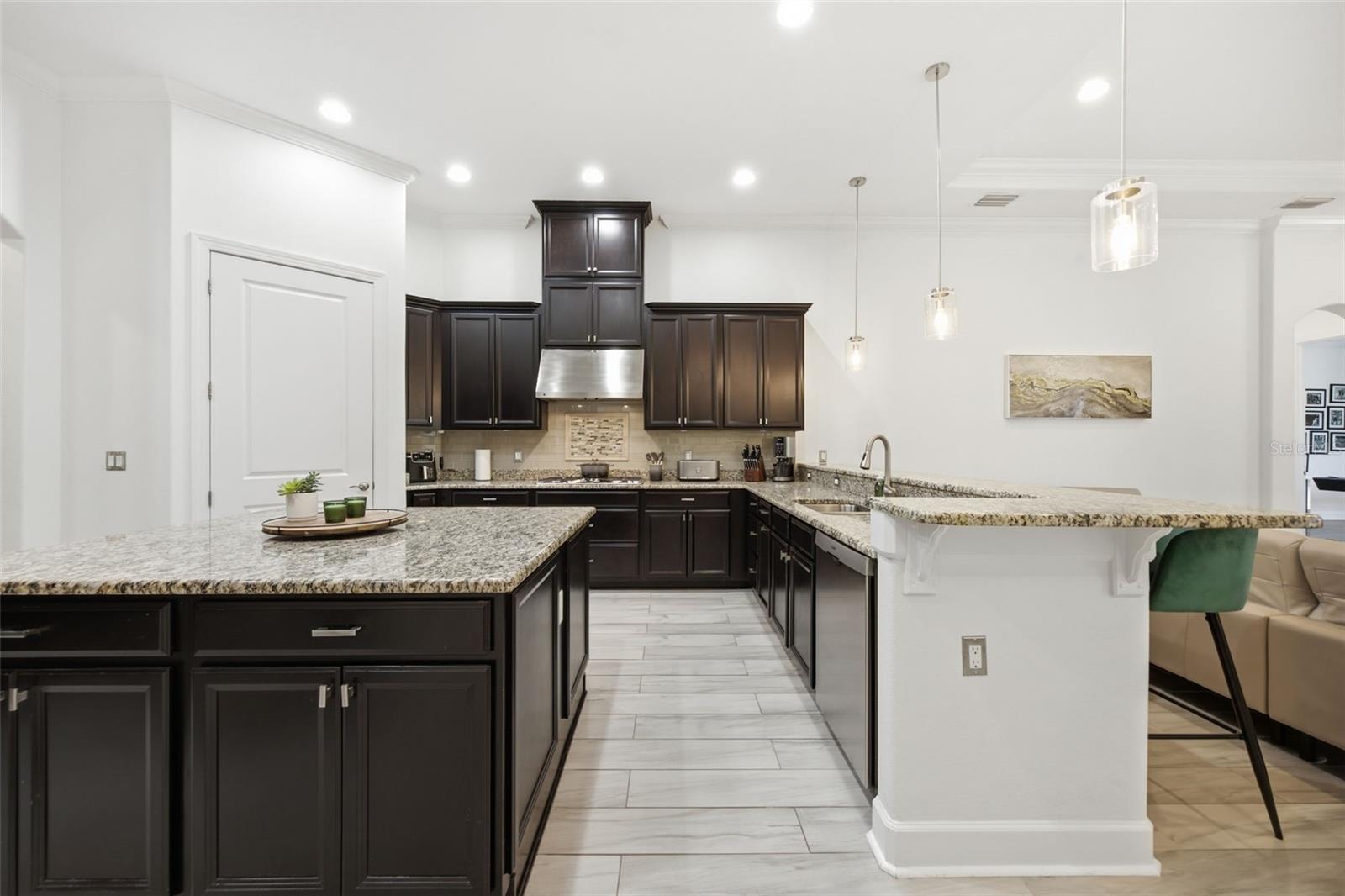 17309 LADERA ESTATES BLVD — photo 12