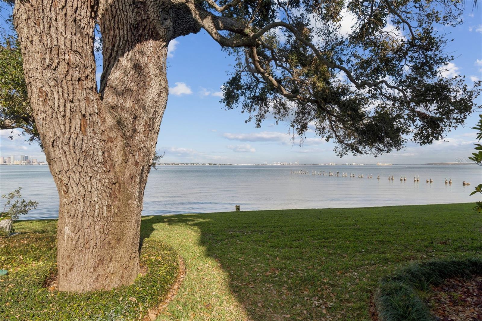 5010 BAYSHORE BLVD #11 — photo 76