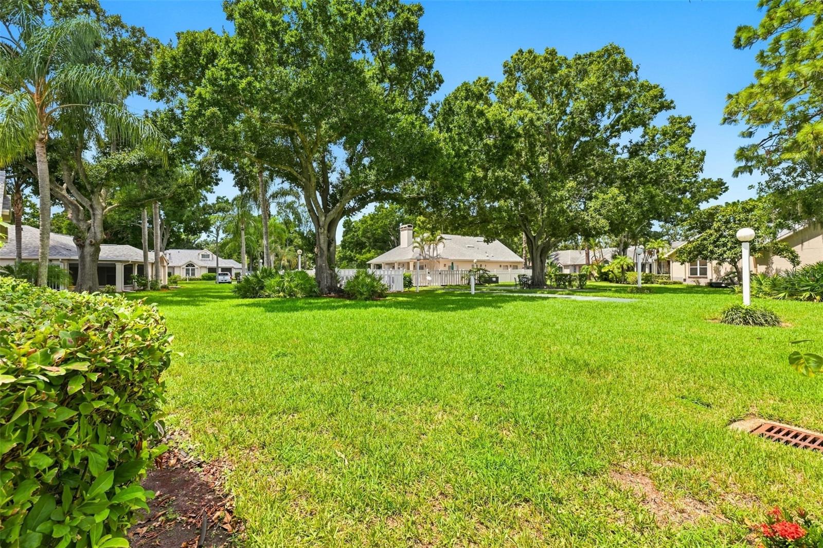 1131 GOLFVIEW WOODS DR — photo 7