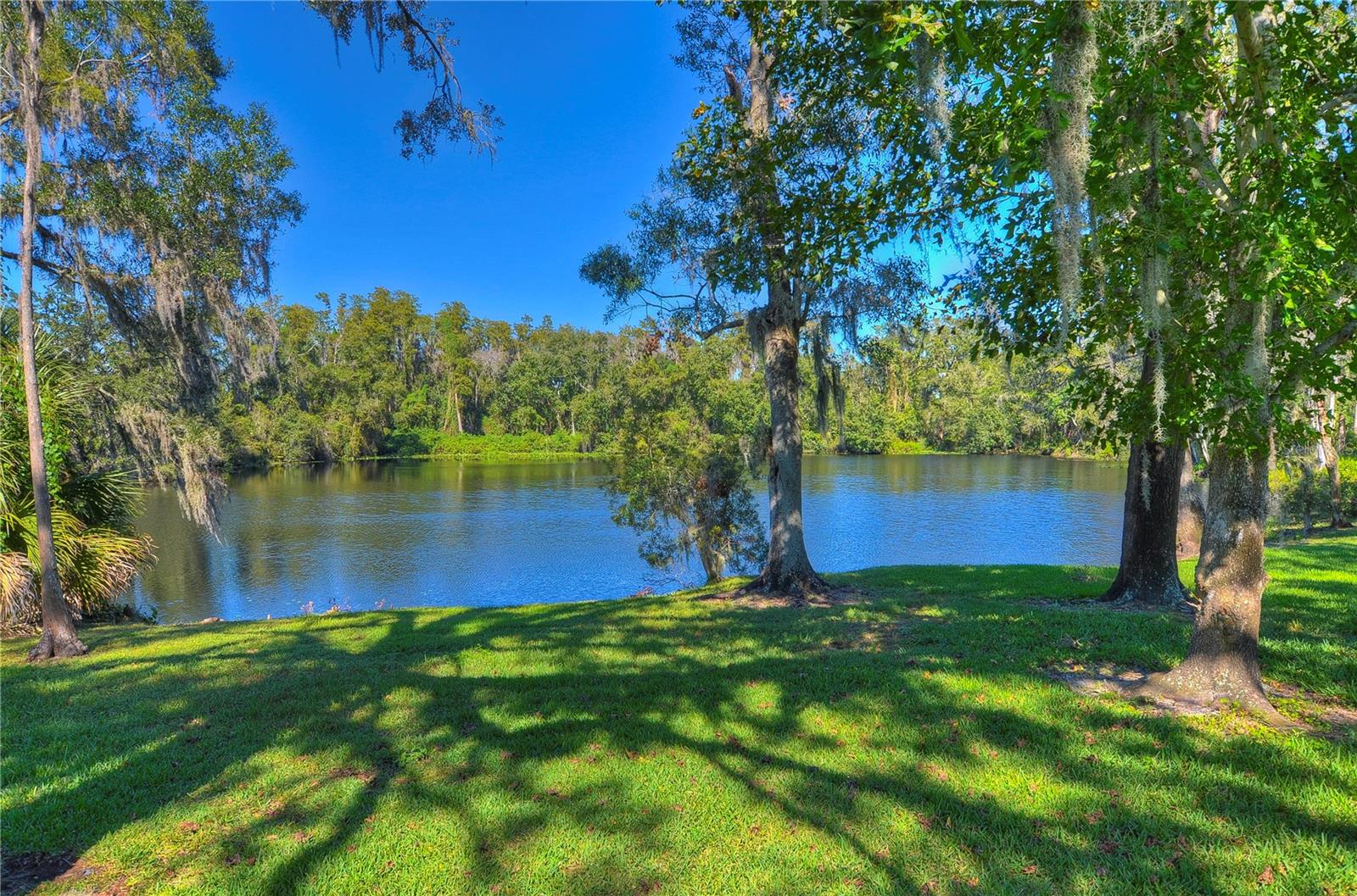 6810 MUNCASTER CT — photo 83