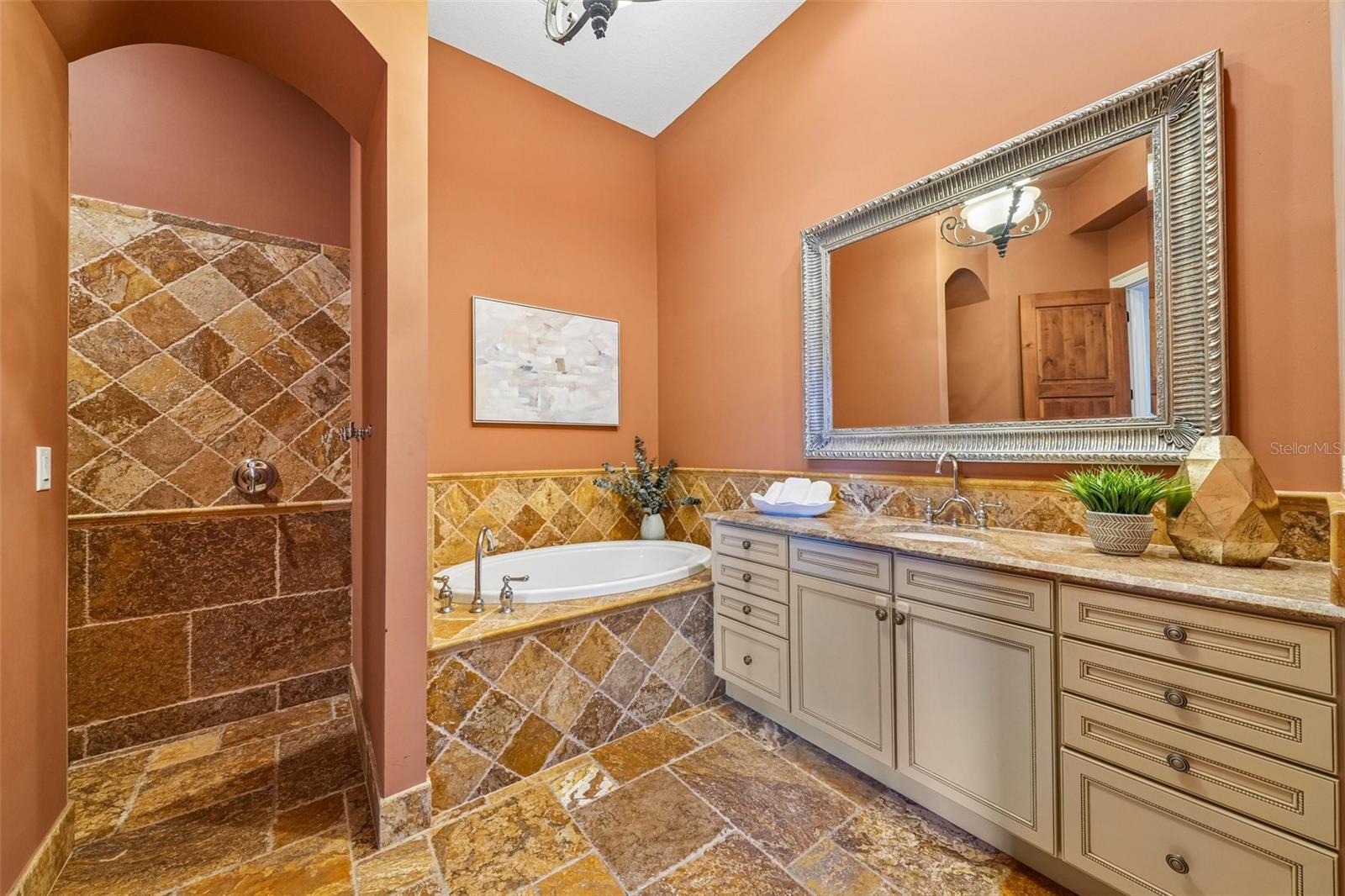 10641 BROADLAND PASS — photo 41