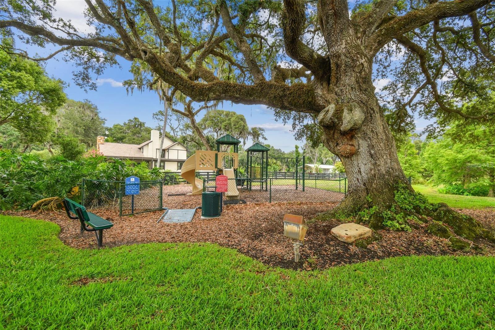 10641 BROADLAND PASS — photo 86