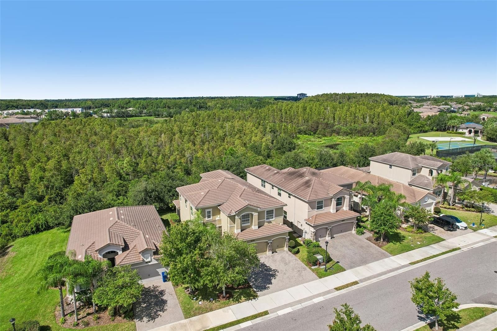 2495 OAKWOOD PRESERVE DR — photo 47