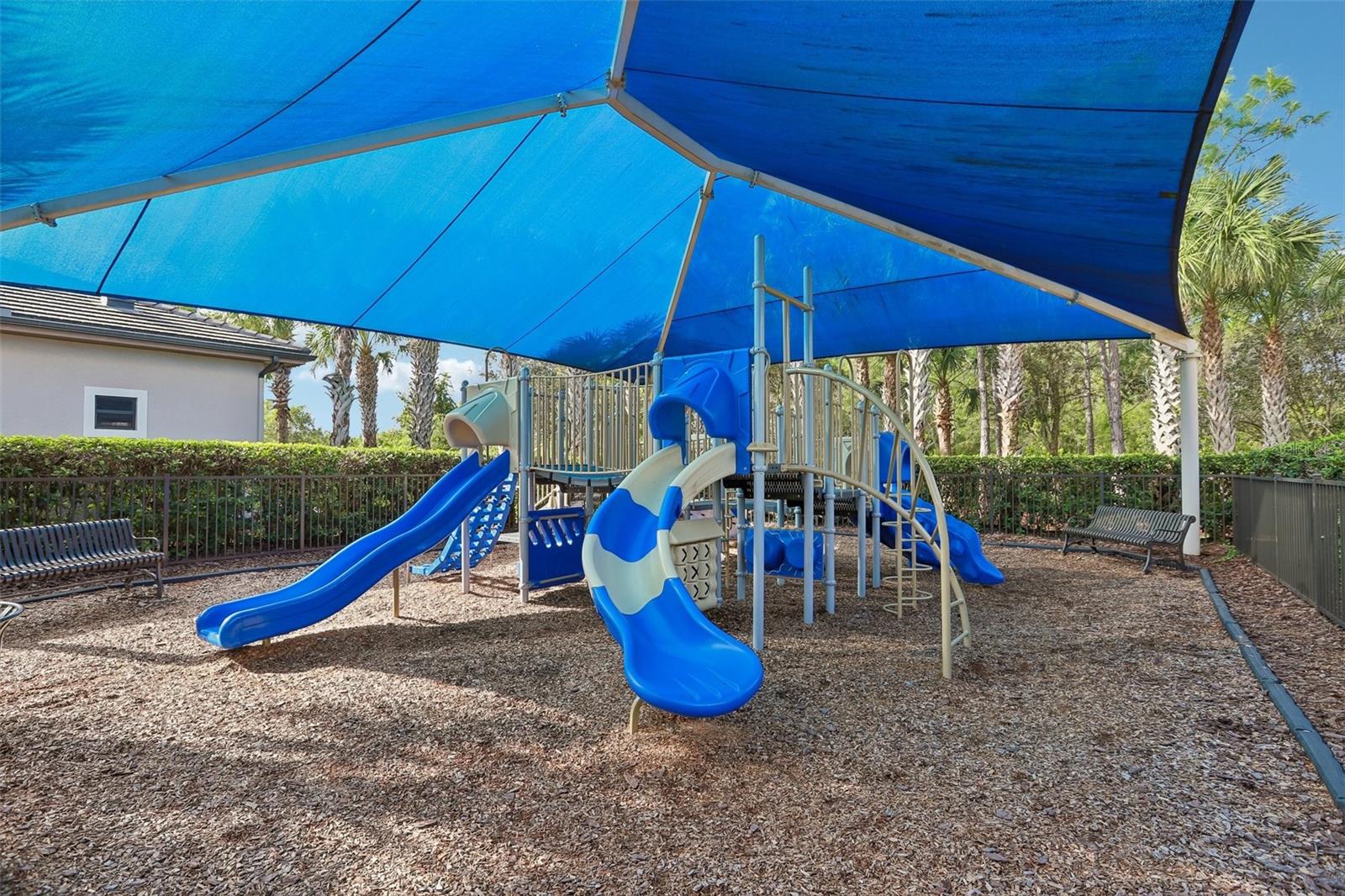 2495 OAKWOOD PRESERVE DR — photo 62