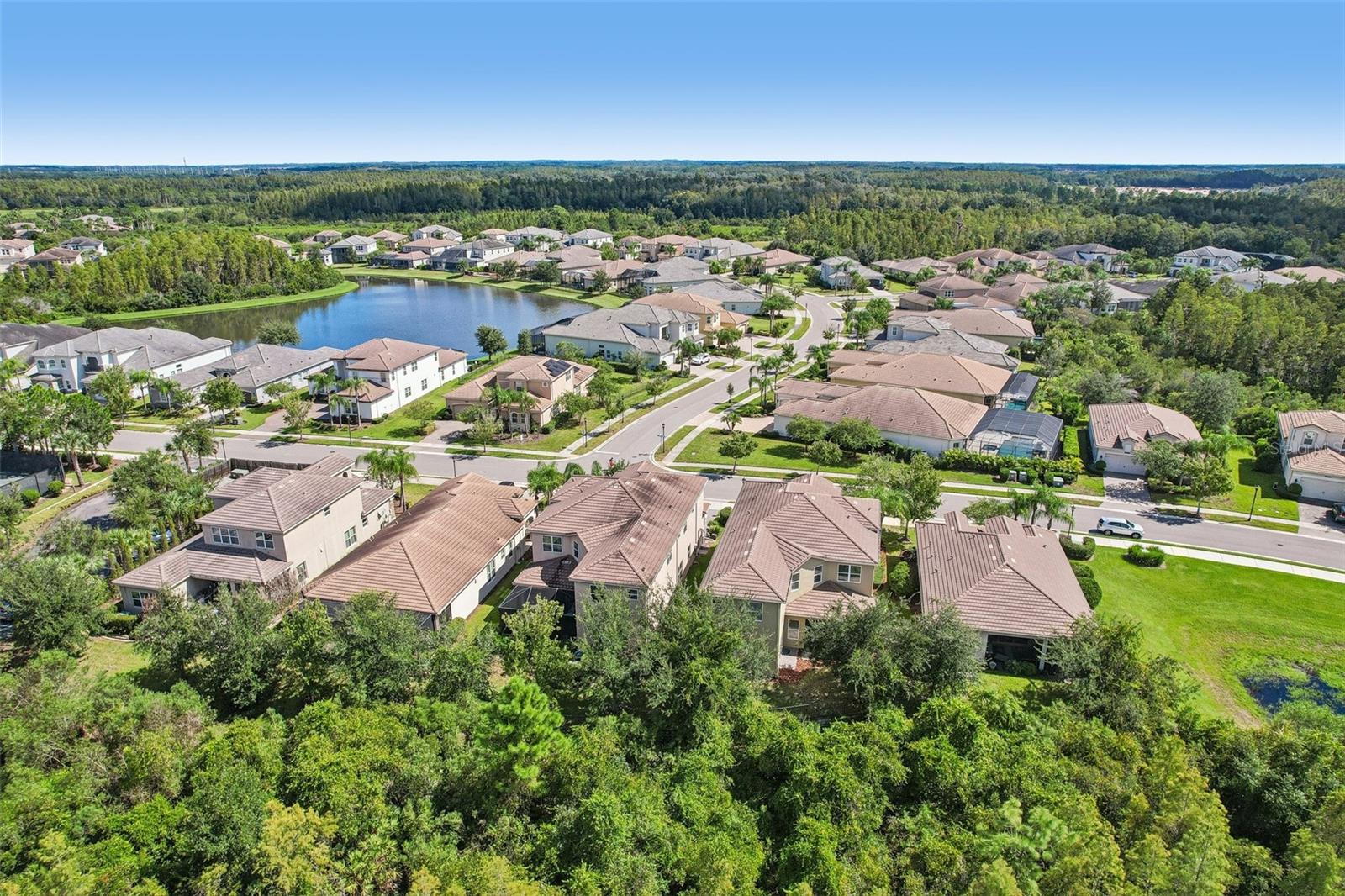2495 OAKWOOD PRESERVE DR — photo 49
