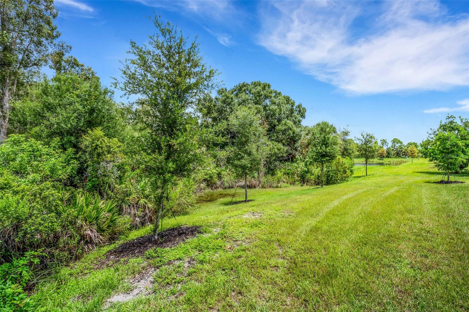 12378 ASANA CT — photo 38