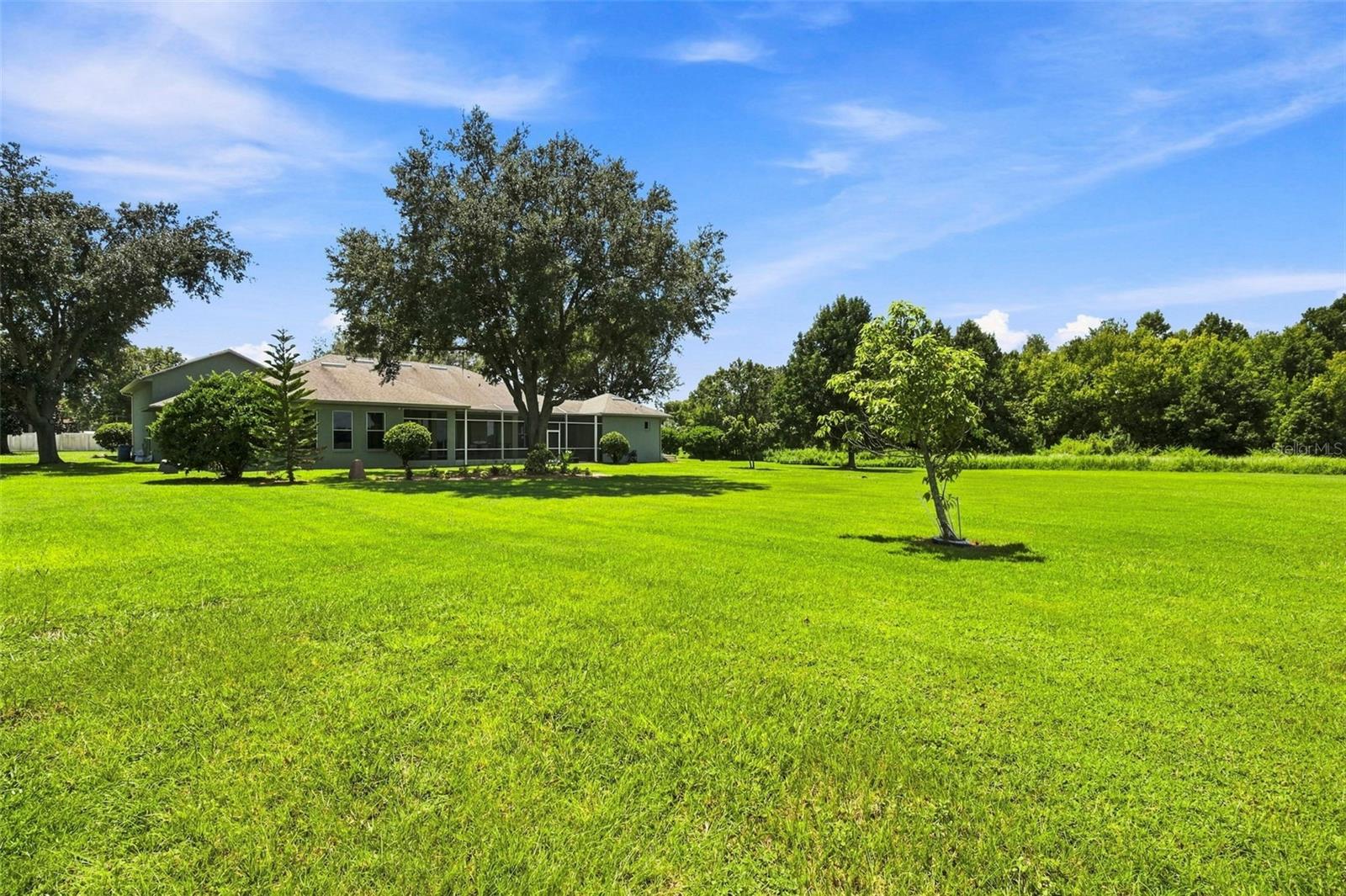 3410 PUNKIN PATCH LN — photo 41