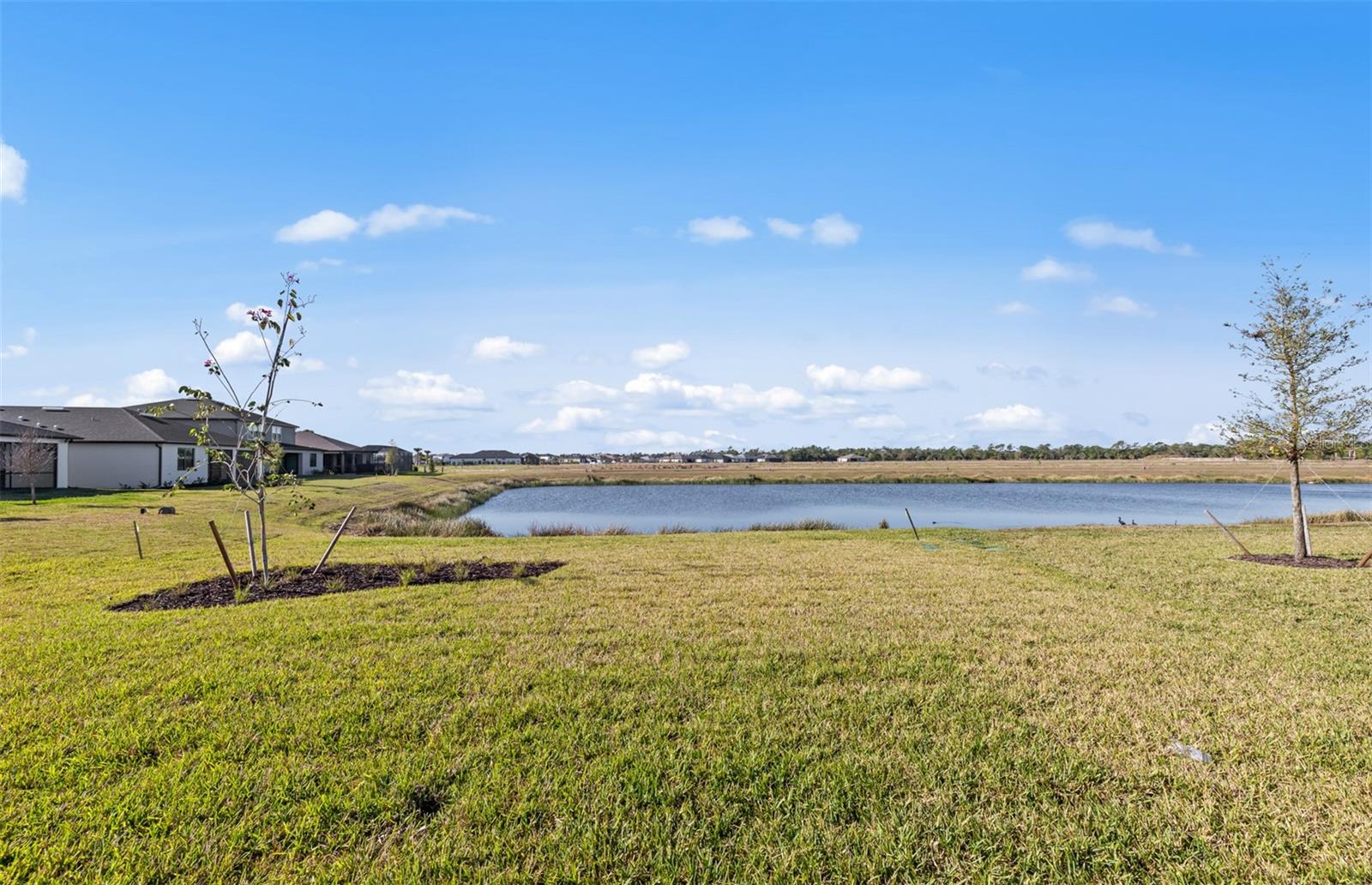 2736 WINDING CREEK TRL — photo 25