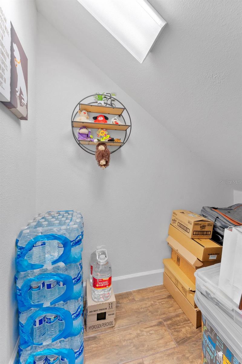 5520 SILVER SUN DR — photo 44