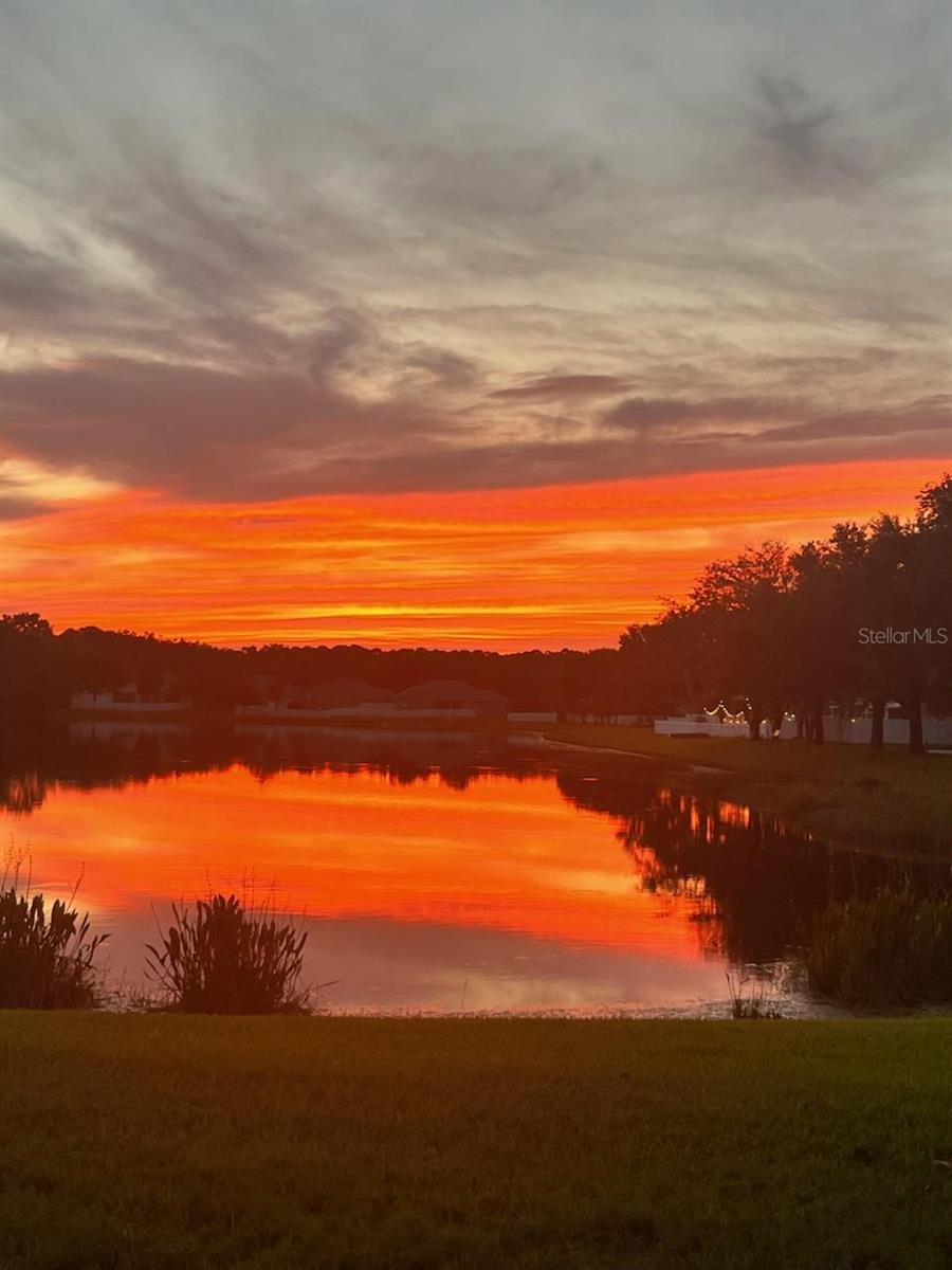 18022 LAKE REFLECTIONS BLVD — photo 3