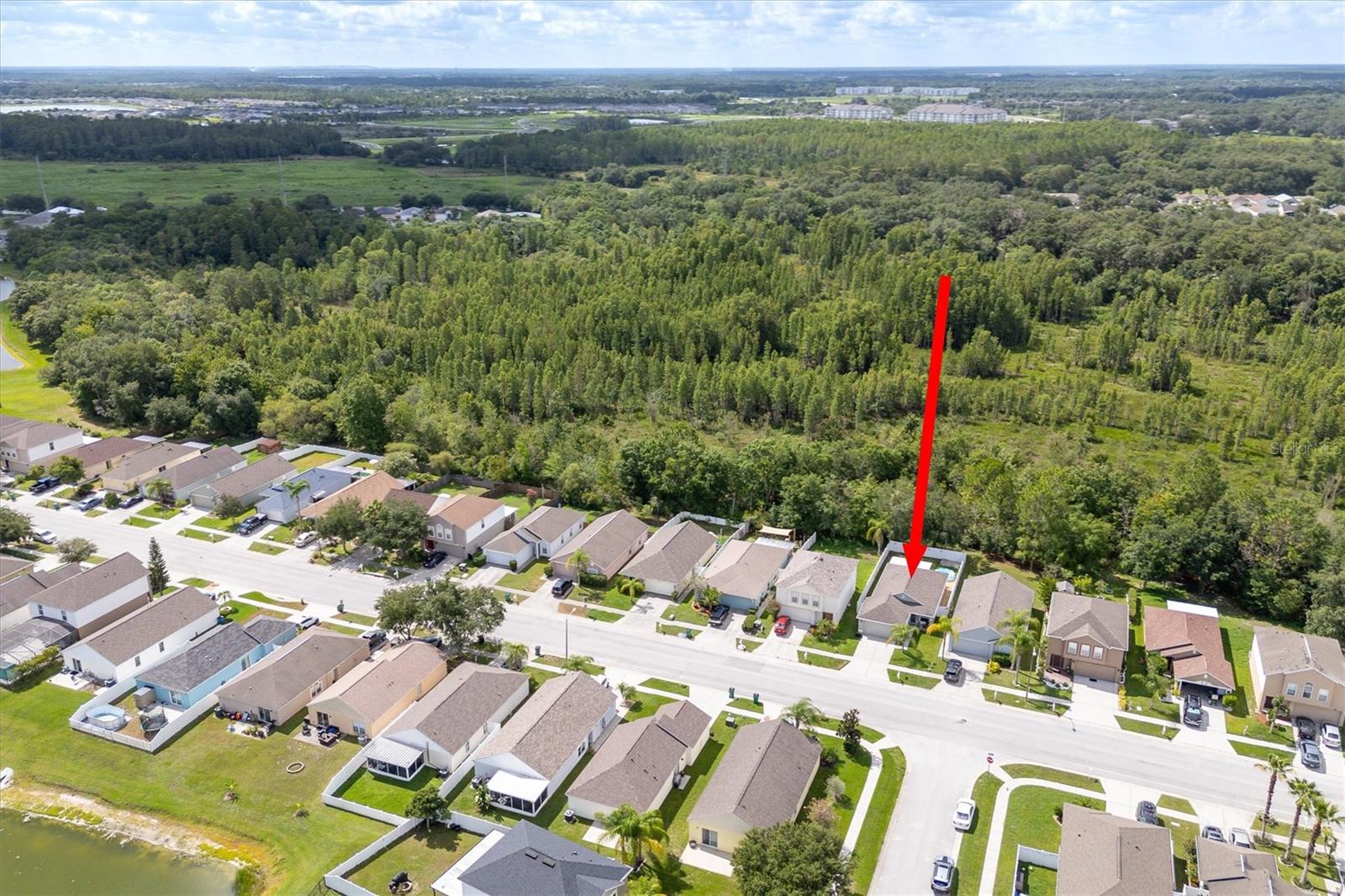 30516 BIRDHOUSE DR — photo 28
