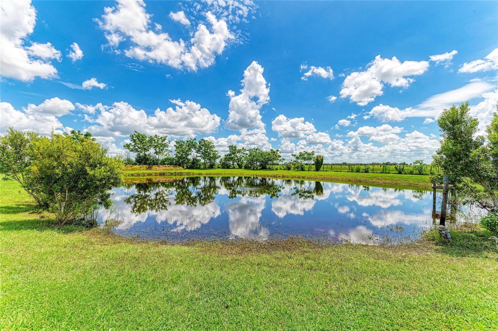 7635 WAUCHULA RD — photo 22