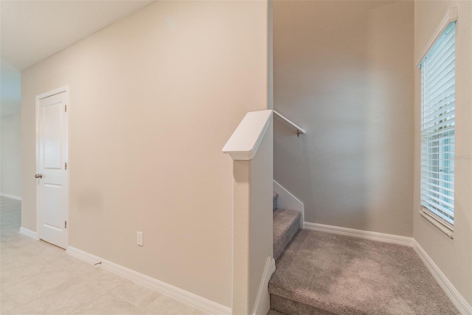 5064 WHITE CHICORY DR — photo 13