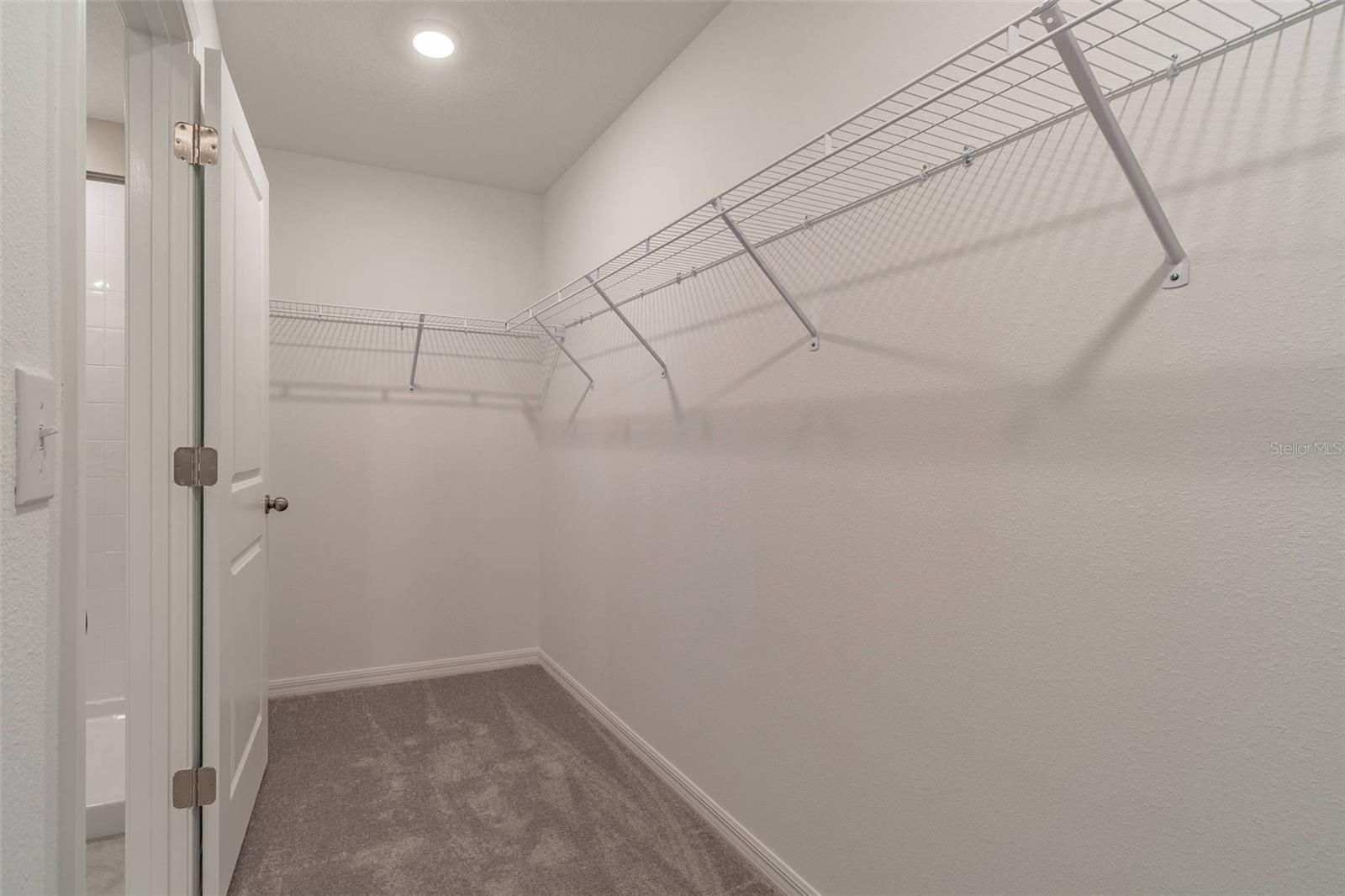 5064 WHITE CHICORY DR — photo 20