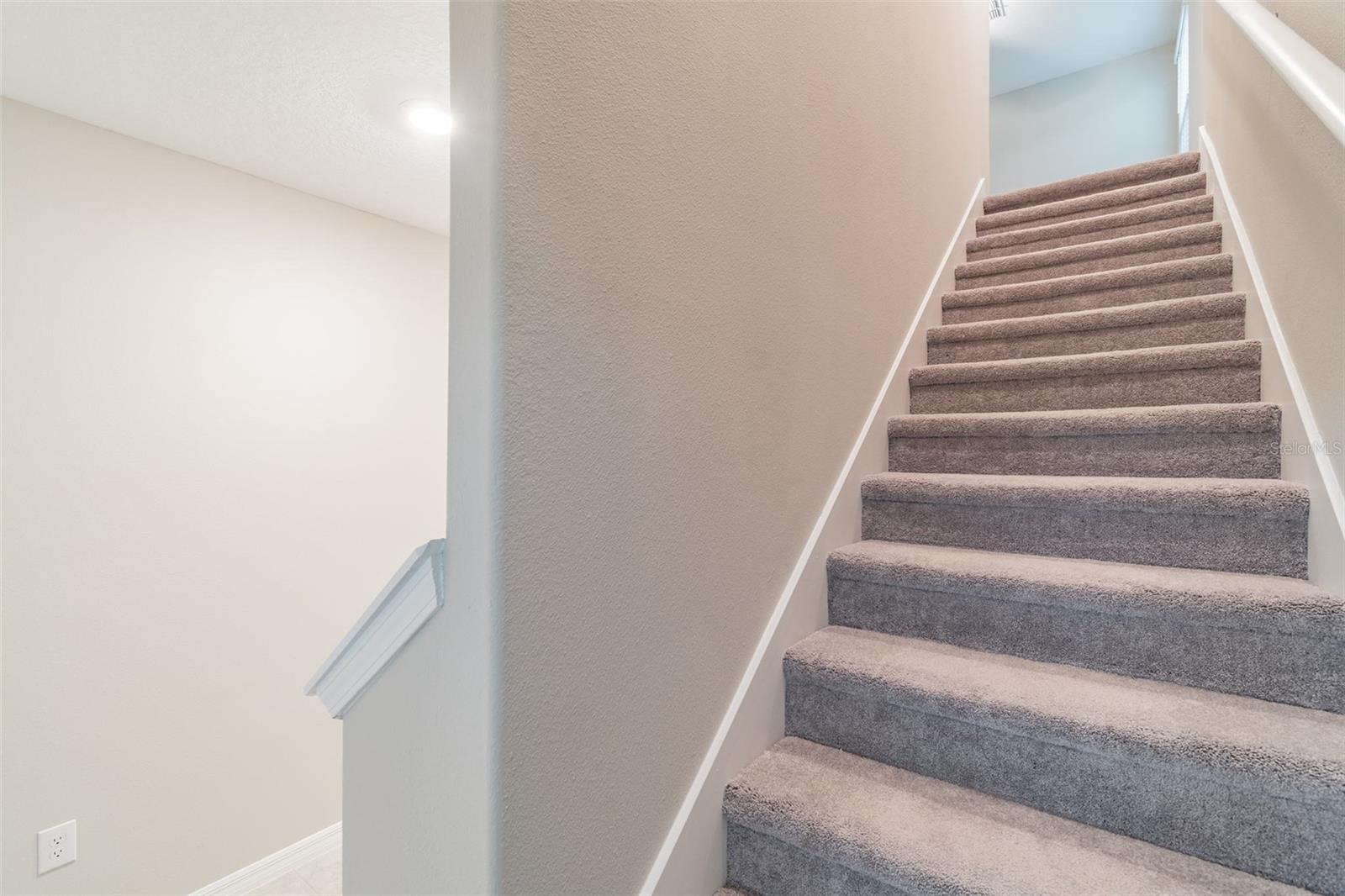 5064 WHITE CHICORY DR — photo 14