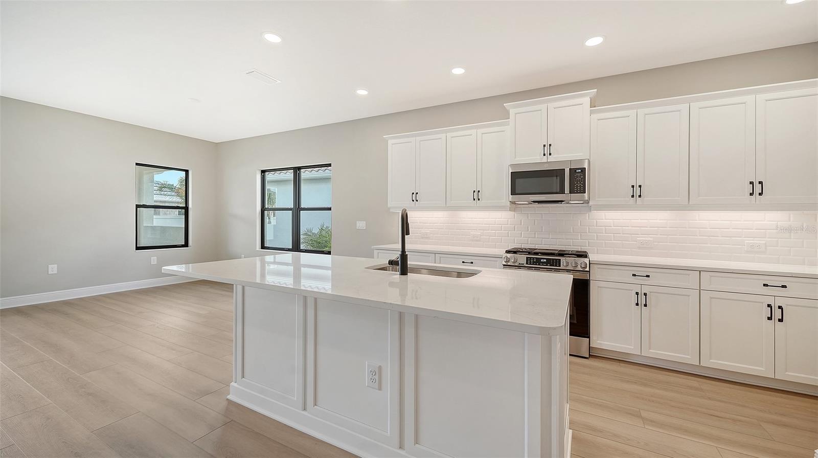 8071 ANTHIRIUM LOOP — photo 11