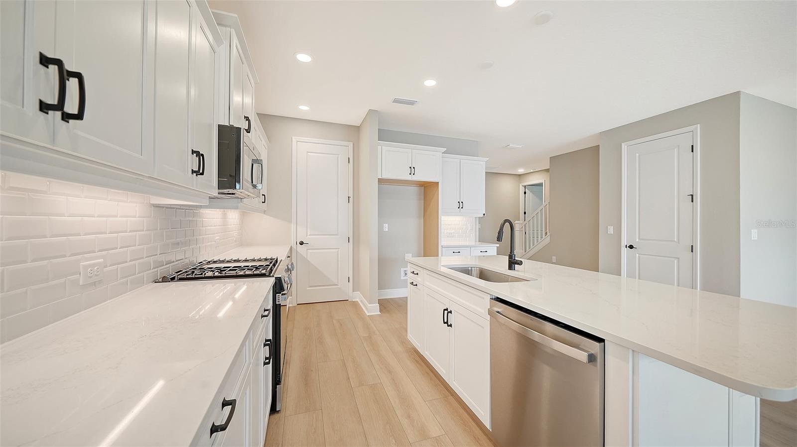 8071 ANTHIRIUM LOOP — photo 10