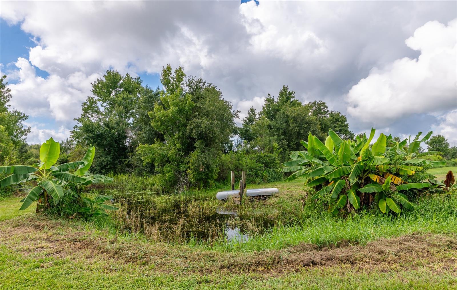 3005 VERNA BETHANY RD — photo 30