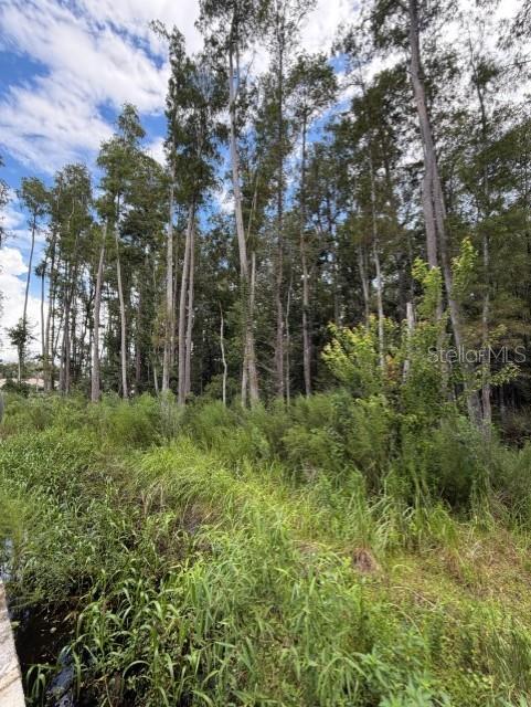 WESLEY CHAPEL BLVD — photo 10