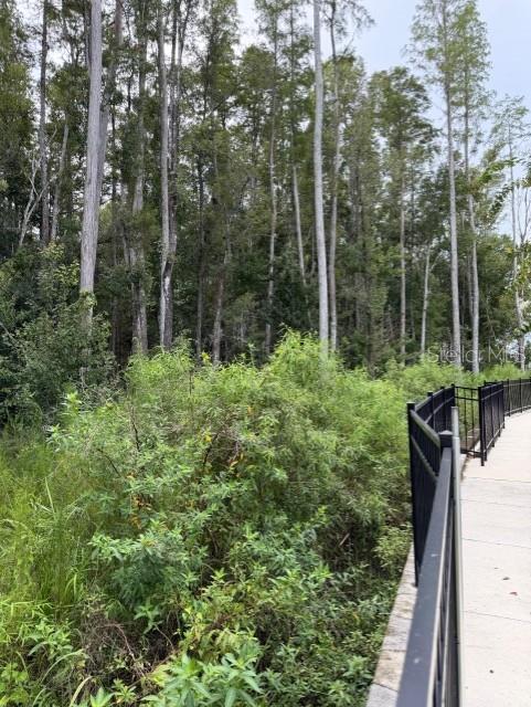 WESLEY CHAPEL BLVD — photo 12