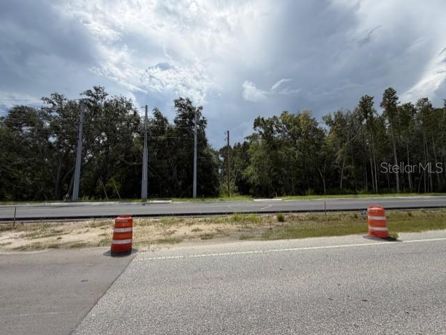 WESLEY CHAPEL BLVD — photo 7