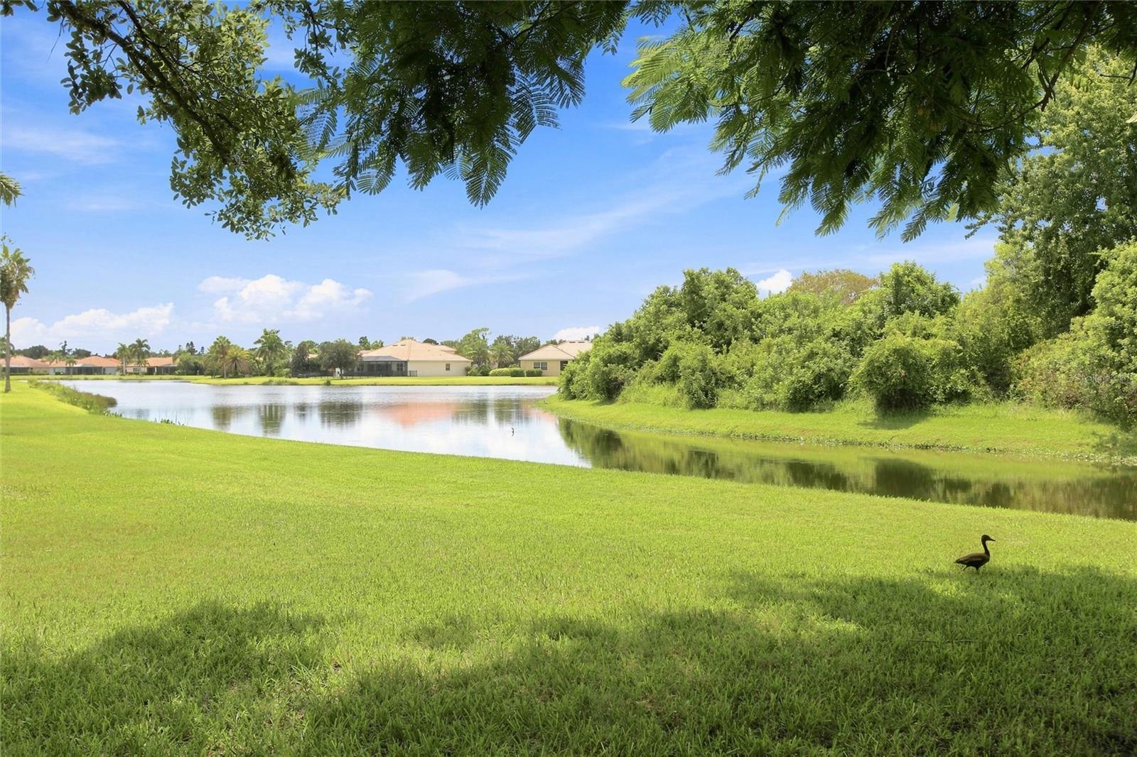 616 COUNTRY MEADOWS WAY — photo 24