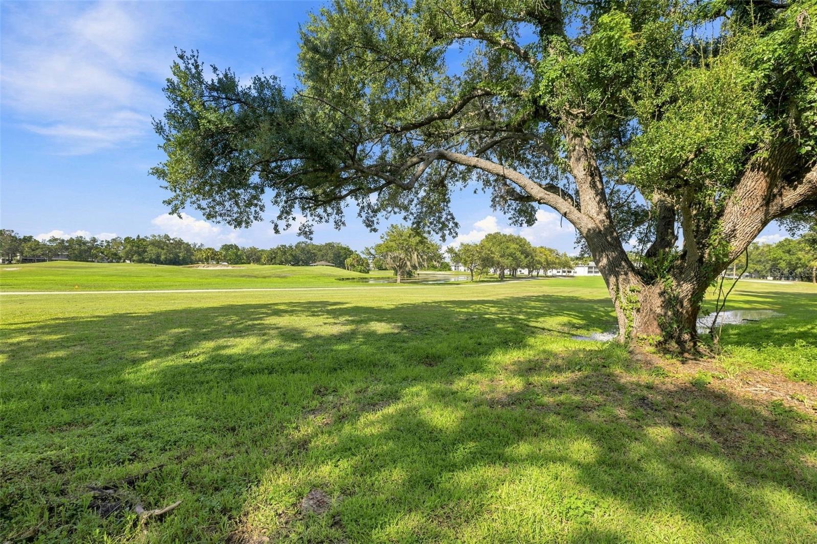 700 STARKEY RD #311 — photo 25
