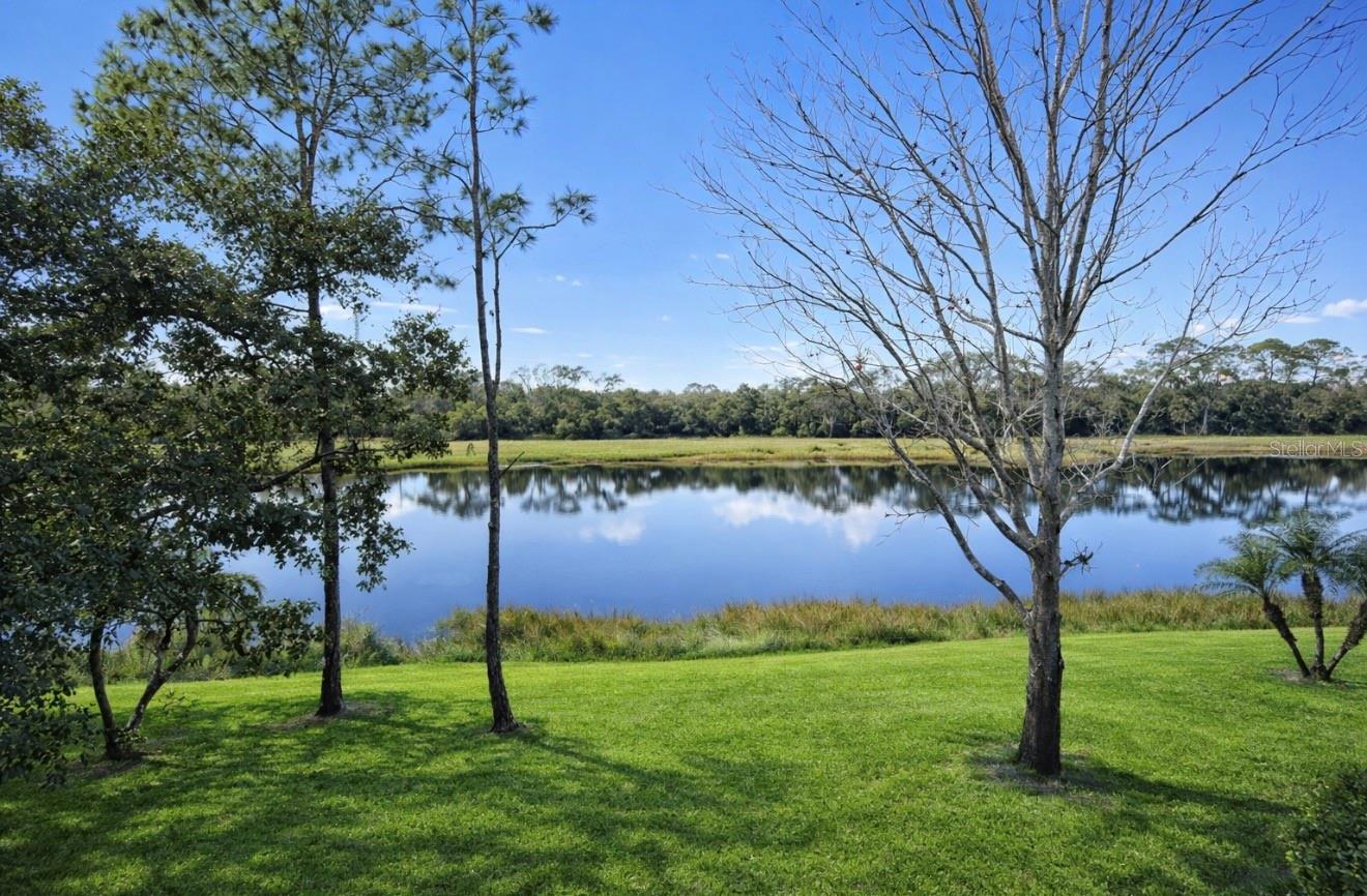 6318 GRAND OAK CIR #201 — photo 47