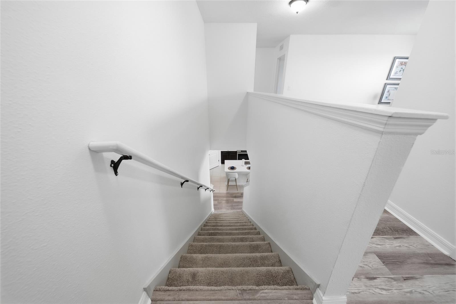 10019 GEESE TRAIL CIR — photo 16