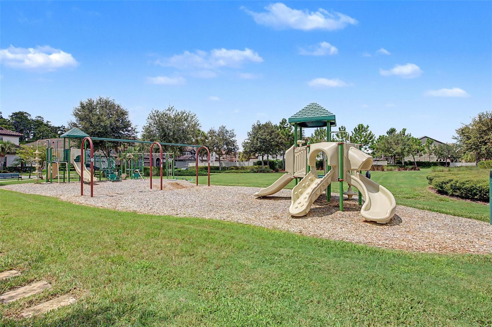 21616 AMELIA ROSE WAY — photo 47