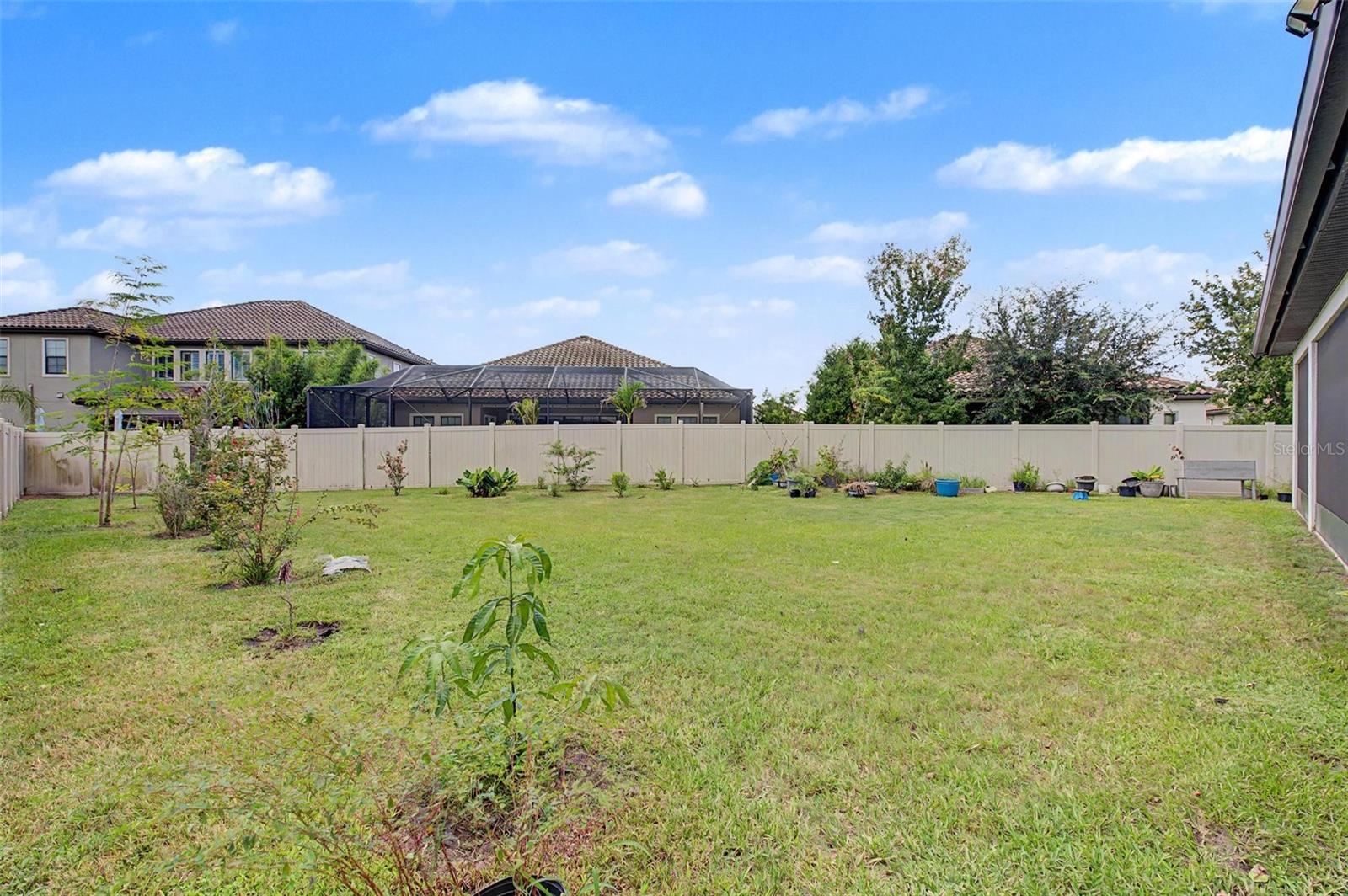 21616 AMELIA ROSE WAY — photo 51