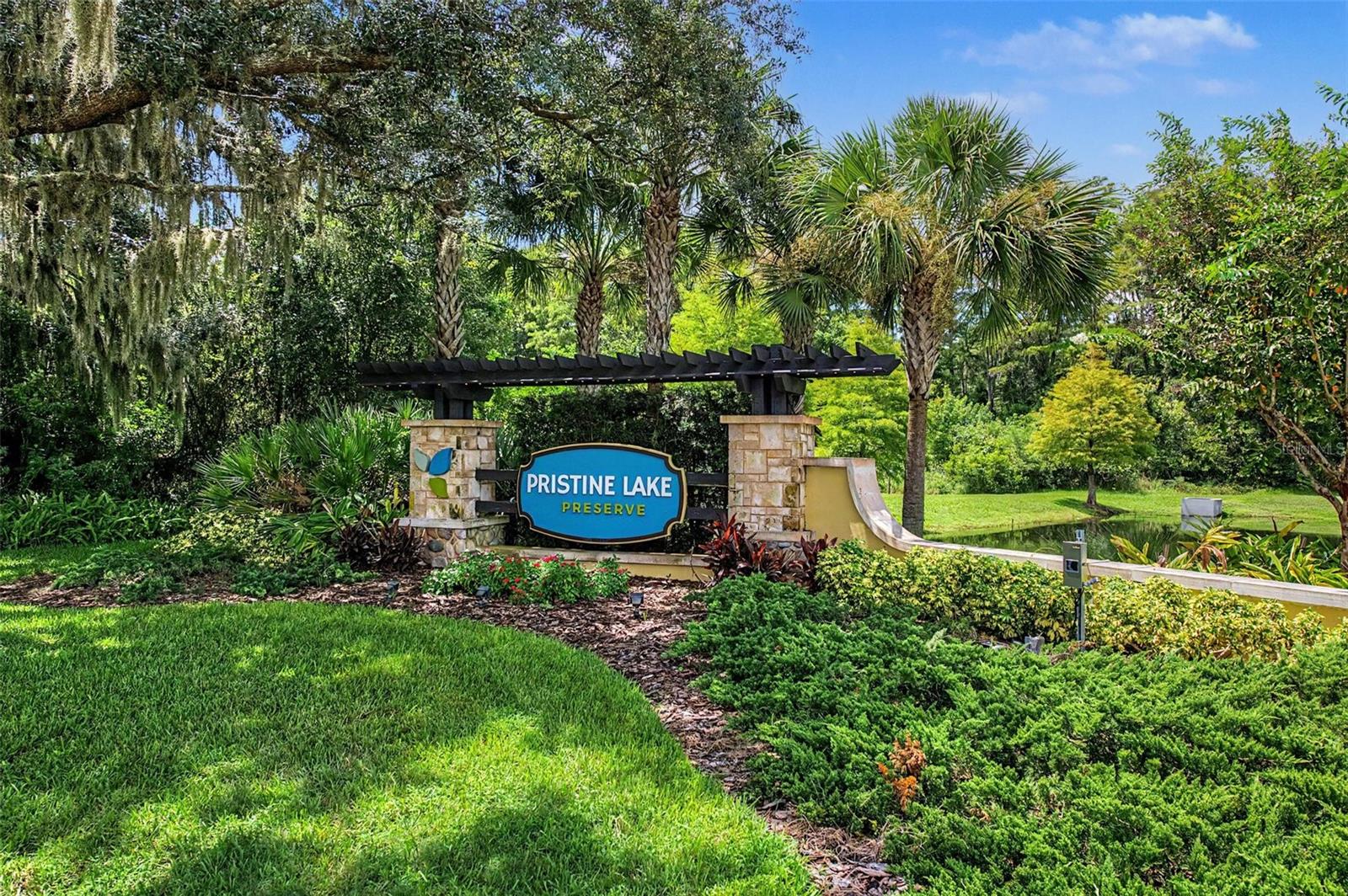 21616 AMELIA ROSE WAY — photo 45