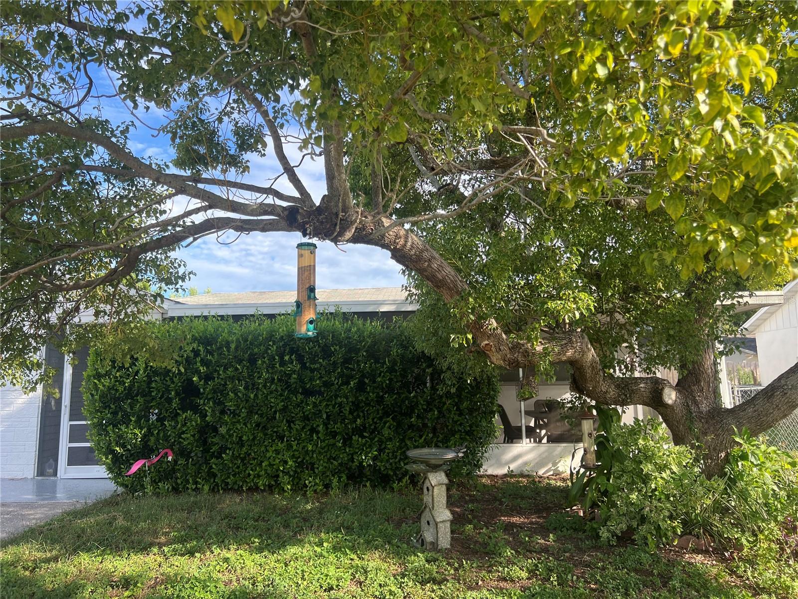 6211 MORAY AVE — photo 5