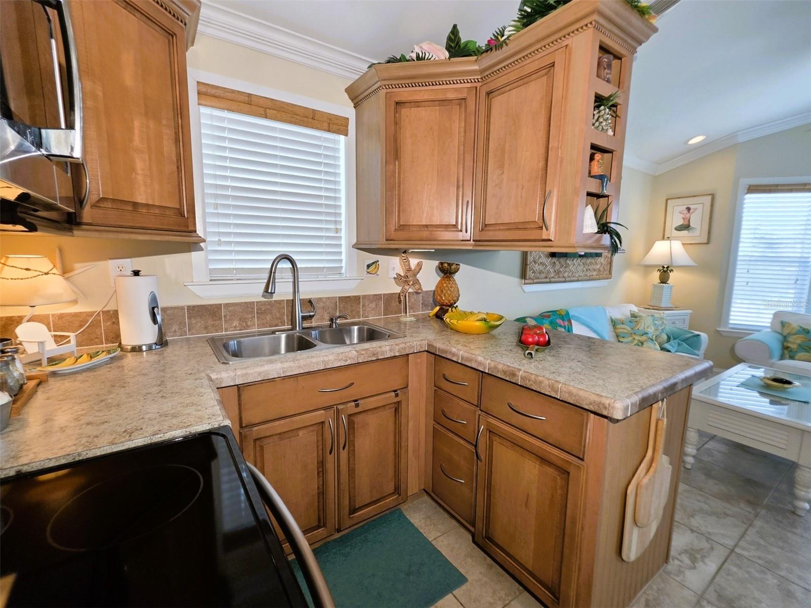 20300 LEONARD - LOT 33 — photo 17