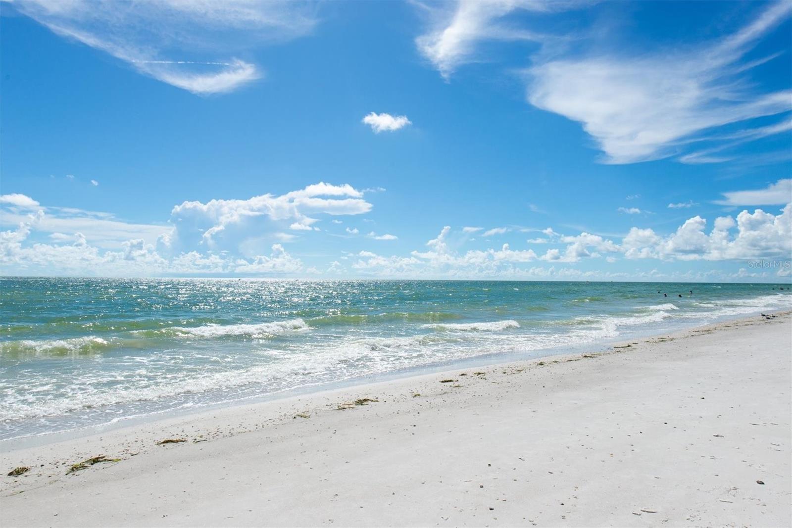 14710 GULF BLVD #206 — photo 4
