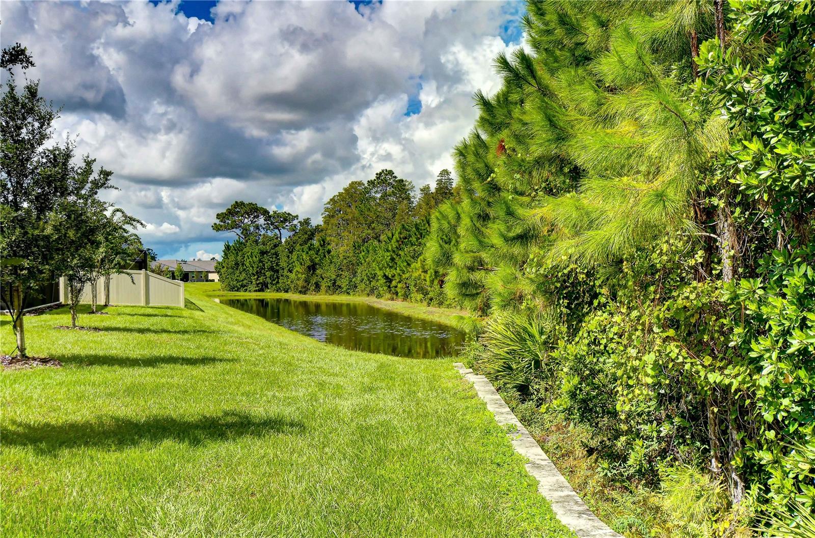 10577 BANYAN BREEZE BLVD — photo 37