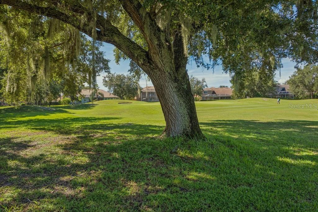 1413 EL PARDO DR — photo 51