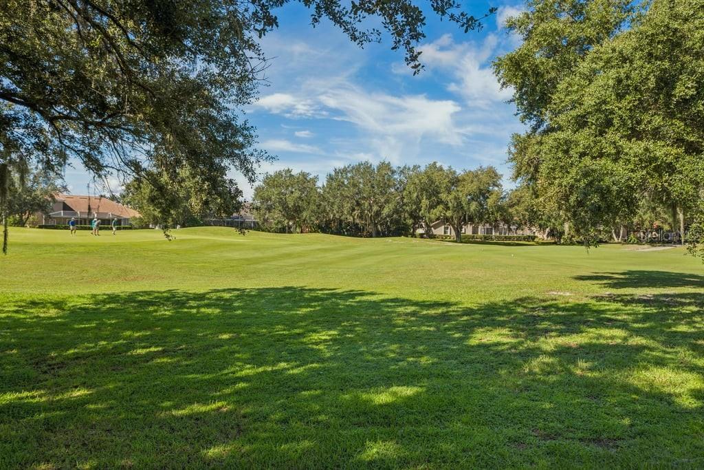 1413 EL PARDO DR — photo 52