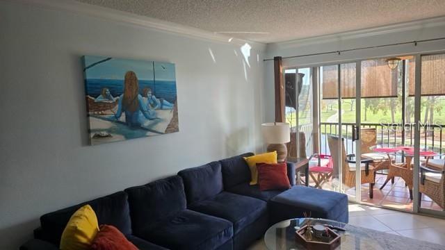 2400 FEATHER SOUND DR #522 — photo 7