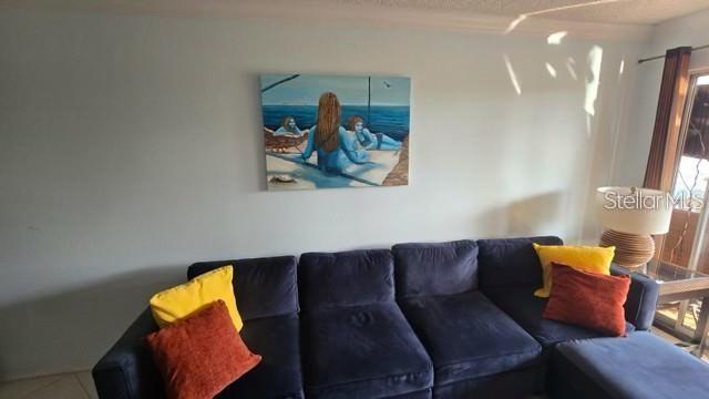 2400 FEATHER SOUND DR #522 — photo 8