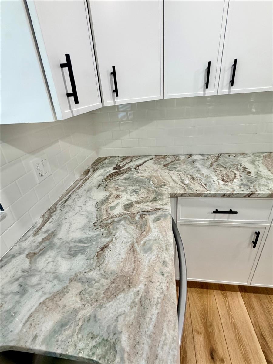 1202 MANDARIN DR — photo 11