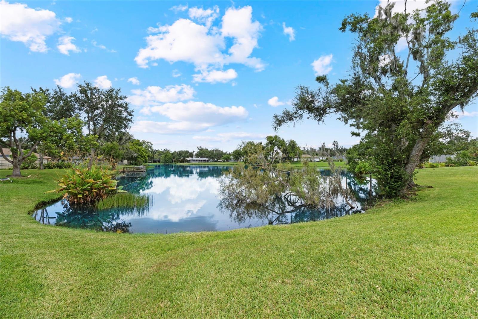 8006 OAK DR — photo 41
